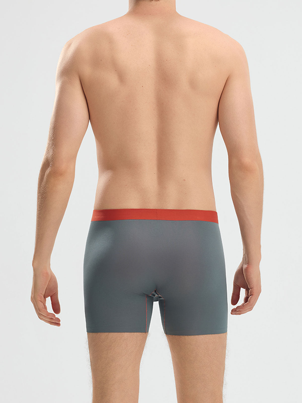 Second Skin Luxurious Modal Boxer Brief 6"